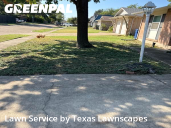 Yard Mowingin Garland,75042,Grass Cutting by Texas Lawnscapes, work completed in Nov , 2025