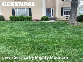 Grass Cut nearby Knoxville, TN, 