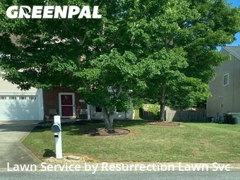 Grass Cut nearby Greensboro, NC, 
