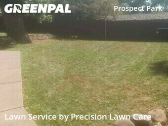 Lawn Mowing nearby Minneapolis, MN, 