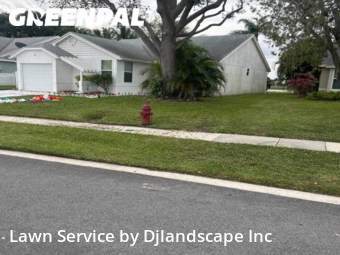 Yard Cutting nearby Boynton Beach, FL, 