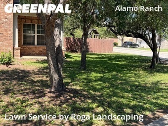 Lawn Mow nearby San Antonio, TX, 