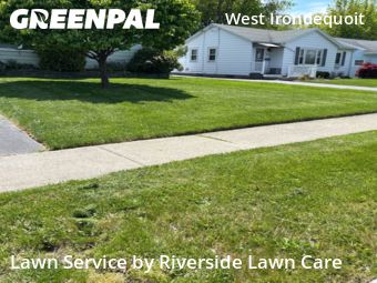 Lawn Mow nearby Irondequoit, NY, 