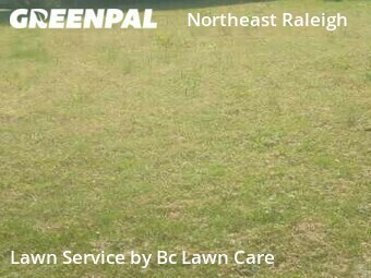 Lawn Mowing Service nearby Raleigh, NC, 