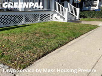 Grass Cut nearby Boston, MA, 