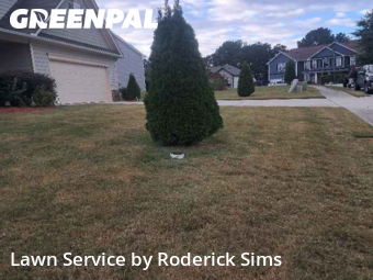 Yard Cutting nearby Lawrenceville, GA, 