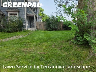 Lawn Mow nearby Elgin, IL, 