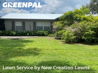 Lawn Mowing nearby Brandon, FL, 