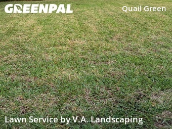 Lawn Mow nearby Conroe, TX, 