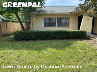 Lawn Mowing Service nearby Palm Harbor, FL, 