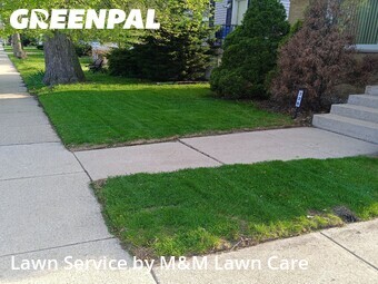 Lawn Care Service nearby Calumet City, IL, 