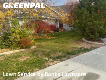 Yard Grooming in Meridian, 83646, Backyard Mowing by Banks Lawncare, work completed in Nov , 2025