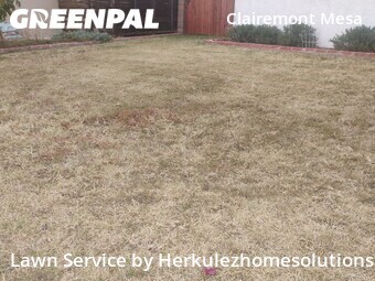 Work completed by yard-maintenance-professionals-in in San Diego, CA