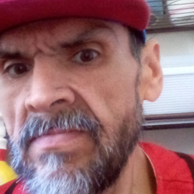 A Pro Home Services - Leaf removal service in Modesto, CA