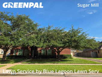 Lawn Service in Sugar Land, 77498, Grass Cutting by Blue Lagoon Lawn Serv, work completed in 15 Sep, 2025 