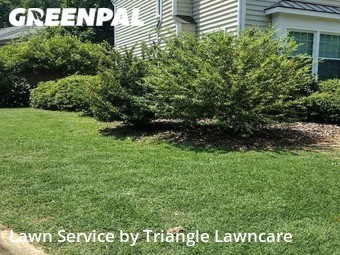 Grass Cut nearby Raleigh, NC, 