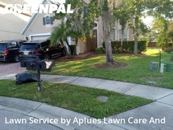 Yard Cutting nearby Orlando, FL, 