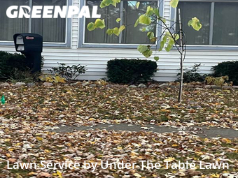 Lawn Care nearby Hazel Park, MI, 