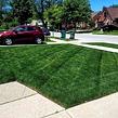 Hire trusted vendor Barthel Lawn Landscape