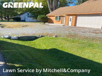Yard Care in Livonia, 48154, Yard Mowing by Mitchell&Company, work completed in Nov , 2025