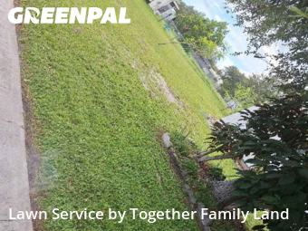 Grass Cut nearby North Port, FL, 