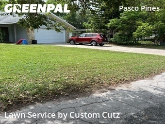 Lawn Care nearby Holiday, FL, 
