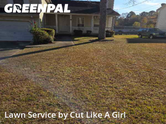 Yard Care Services in Douglasville, 30134, Yard Work by Cut Like A Girl , work completed in Dec , 2025