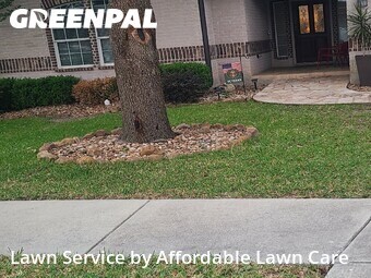 Lawn Cut nearby Cibolo, TX, 