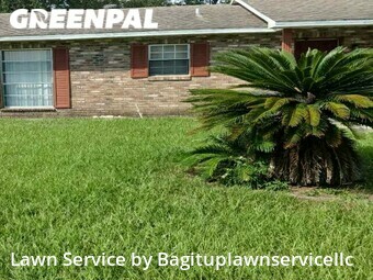 Lawn Carein Pine Hills,32808,Lawn Service by Bagituplawnservicellc, work completed in Dec , 2025