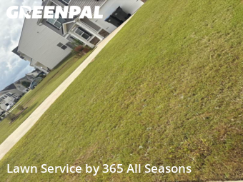 Lawn Mow nearby Grovetown, GA, 