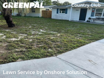 Grass Cut nearby Hudson, FL, 