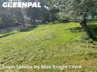 Grass Cutting nearby Kingsport, TN, 