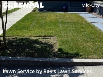 Yard Mowing nearby New Orleans, LA, 
