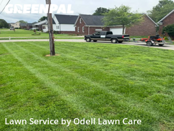 Yard Cutting nearby Harrisburg, NC, 