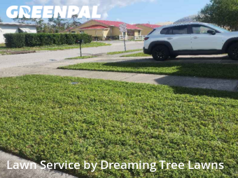 Grass Cut nearby Pinellas Park, FL, 