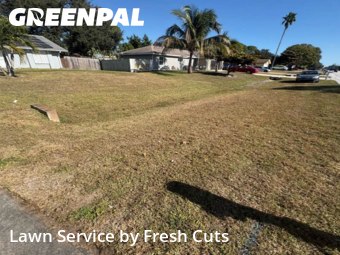 Grass Cut nearby Palm Bay, FL, 