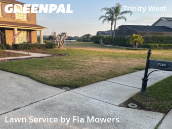 Grass Cut nearby Trinity, FL, 