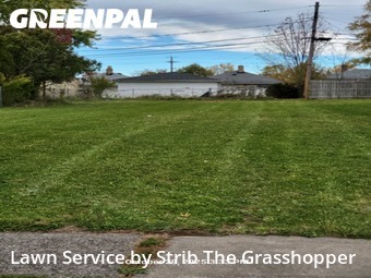 Lawn Cut nearby Maple Heights, OH, 