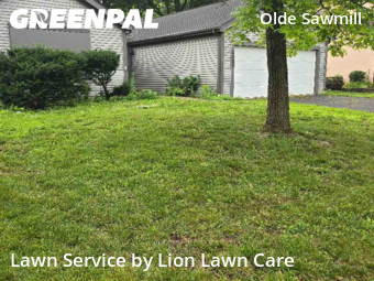 Work completed by grass-cutting-businesses-in-Dublin-CA