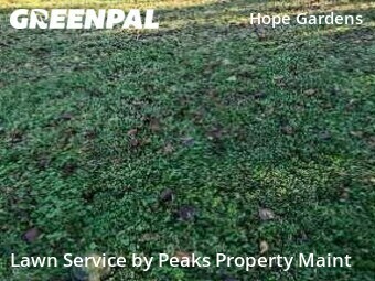 Yard Mowing nearby Nashville, TN, 