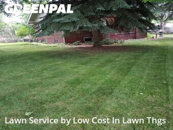 Grass Cut nearby Spokane Valley, WA, 