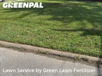 Grass Cutting nearby Springfield, MO, 