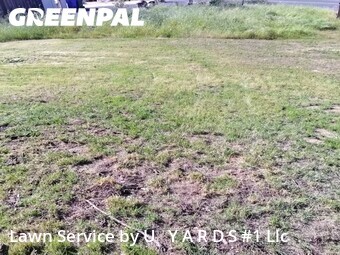 Lawn mowing work completed in Turlock, CA