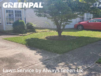 Lawn Cutting nearby Lexington, KY, 