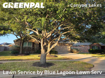 Lawn Care Servicein Cypress,77433,Lawn Mowing by Blue Lagoon Lawn Serv, work completed in Feb , 2026