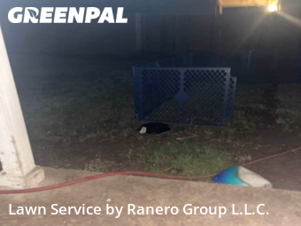 Lawn Mow nearby Killeen, TX, 