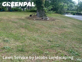 Lawn Care Service nearby Columbia, SC, 