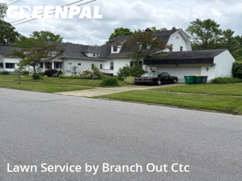 Lawn Mow nearby Hamburg, NY, 