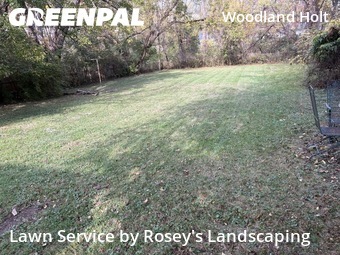 Turf Services in Columbus, 43219, Lawn Work by Rosey's Landscaping, work completed in Oct , 2025