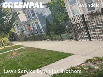 Landscaping Renovation In Chicago,60618,Landscaping Services by Alejos Brothers, work completed in Nov , 2025